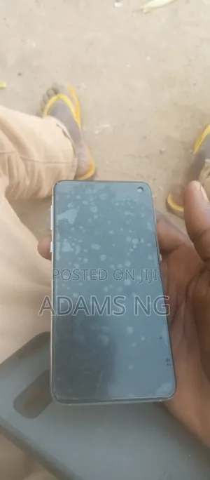 Samsung S10e Screen