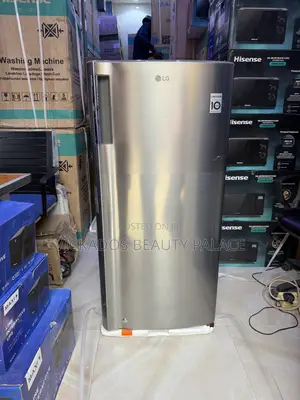 Lg 169l Single Door Smart Inverter Refrigerator | Ref 201 SLBB