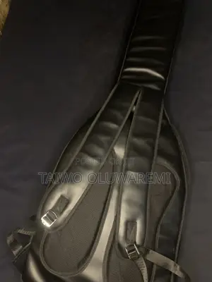 Bass and Lead Guitar Bag