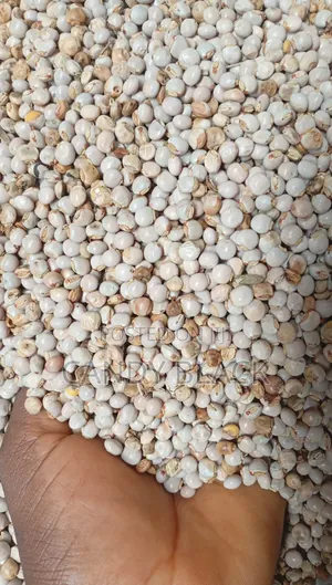 Black Bean and Fio Fio