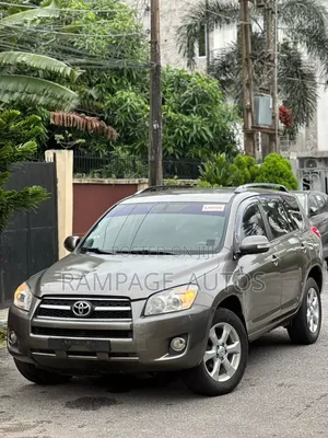 Toyota RAV4 2010 Brown