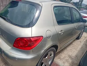 Peugeot 307 2006 Silver