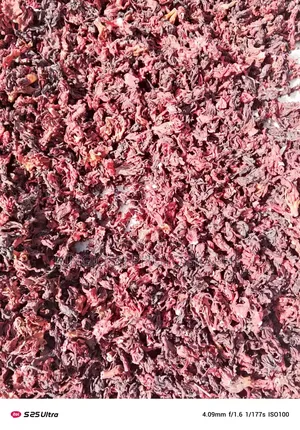 Hibiscus Flower ( Zobo Flower ) Available