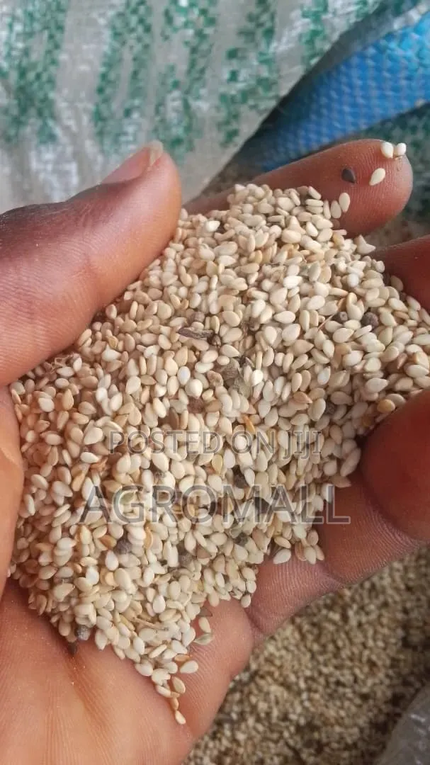 Sesame Seed_1kg
