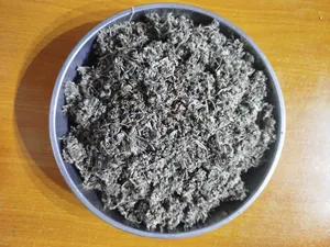 Sweet Wormwood 100g