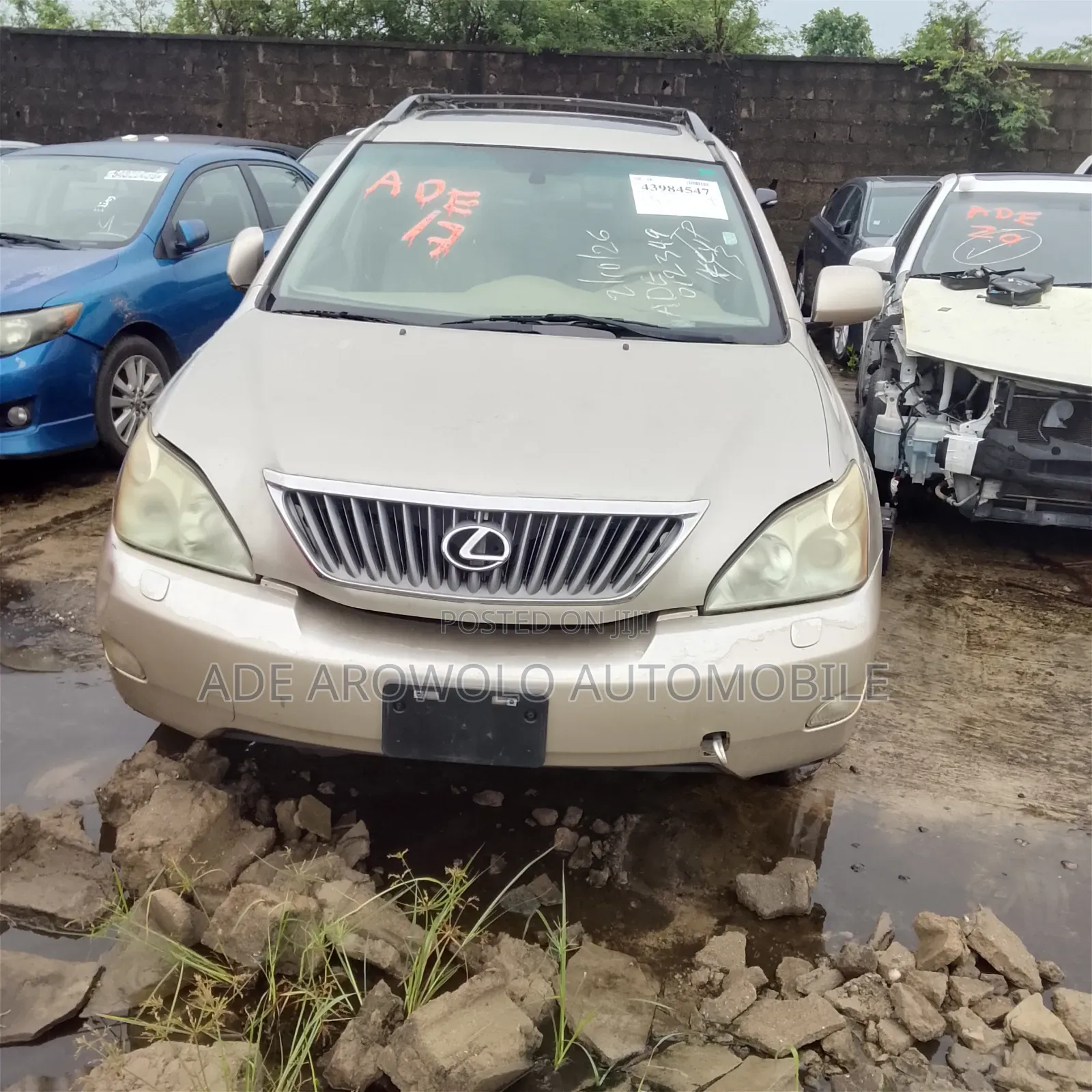Lexus RX 2008 Gold
