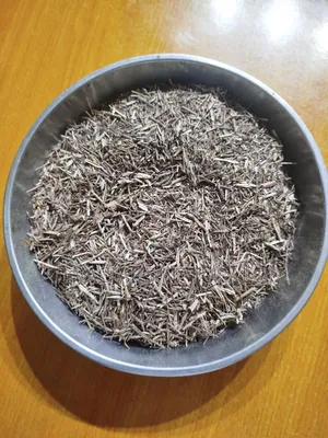 Blue Vervain Herb 100g