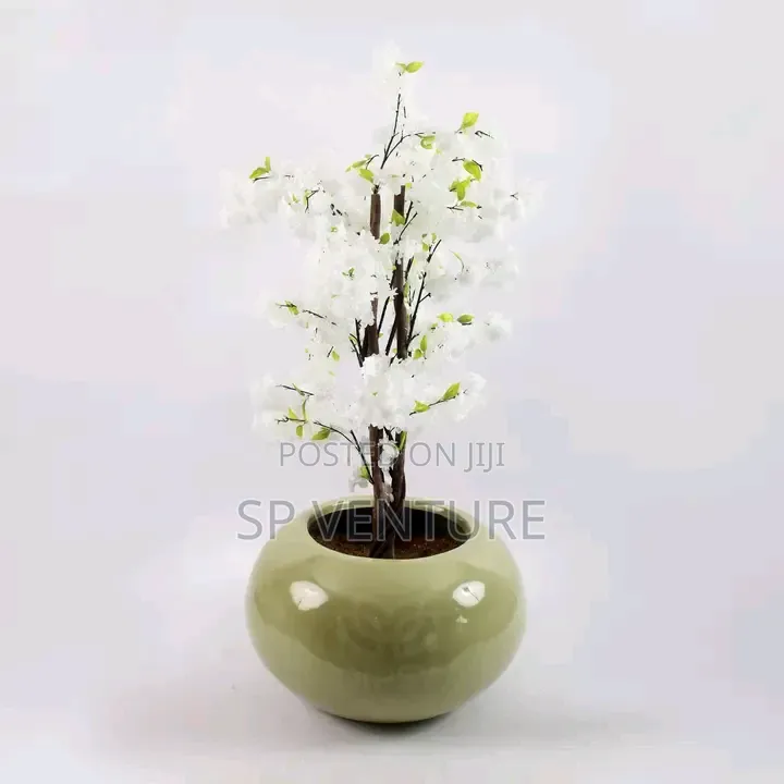 Flower Pot
