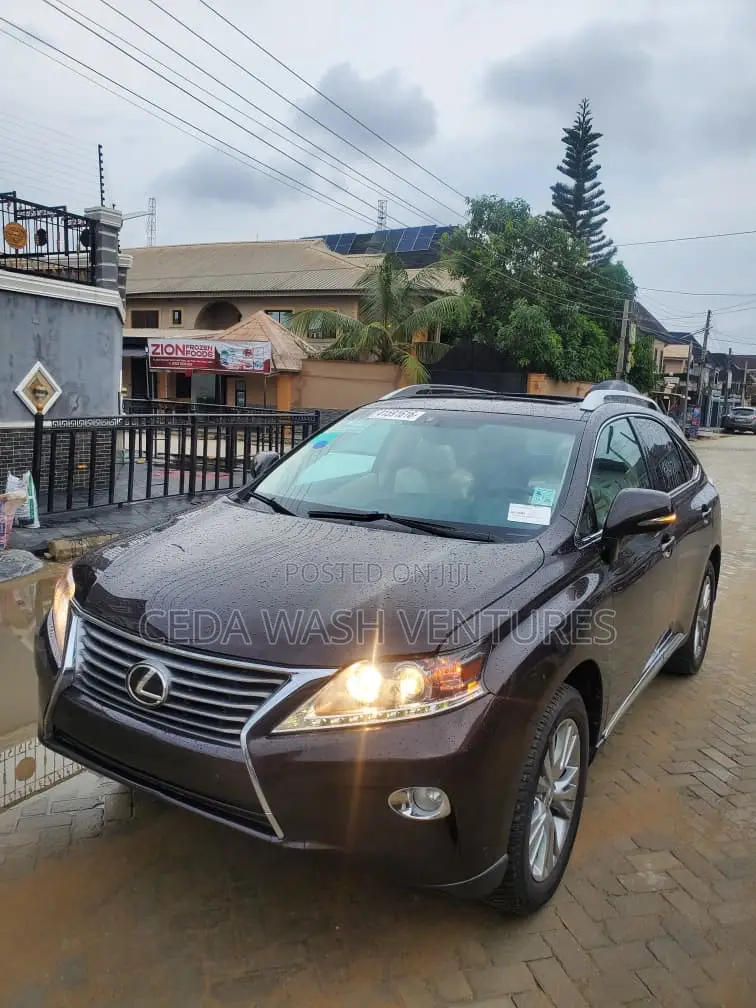 Lexus RX 2013 Brown