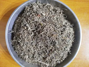 Holy Basil Leaf 100g