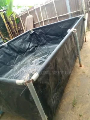Second New Fish Tarpaulin Pond
