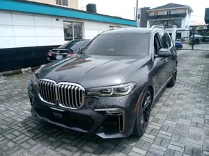 BMW X7 2019 Gray