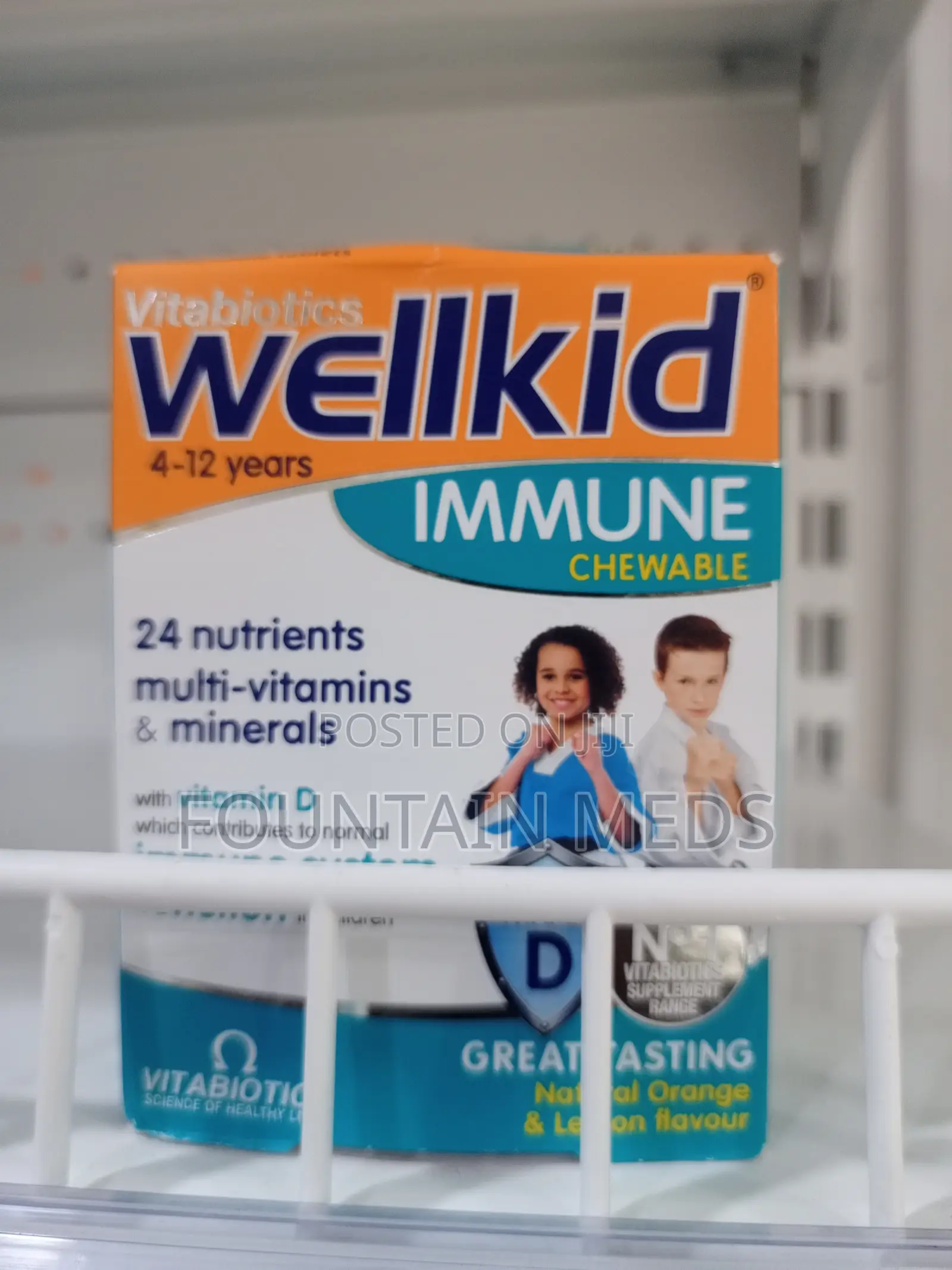 Wellkid Multivitamin Chewable Tablet