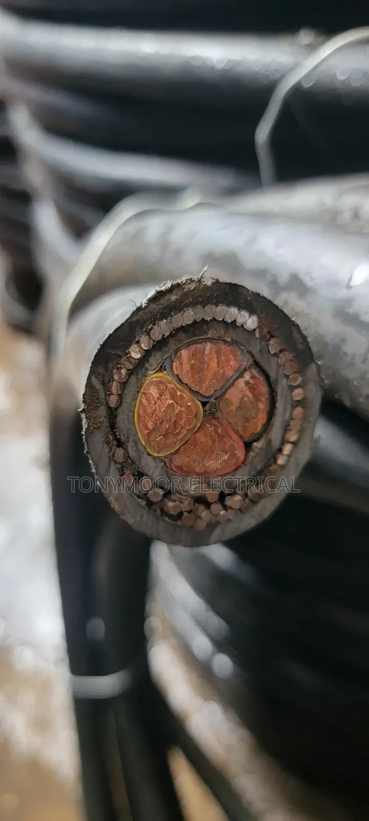 4x50mm Armored Nigerchin Cable