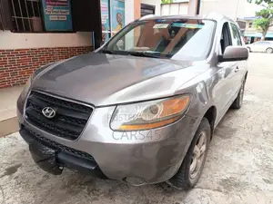 Hyundai Santa Fe 2008 Gray