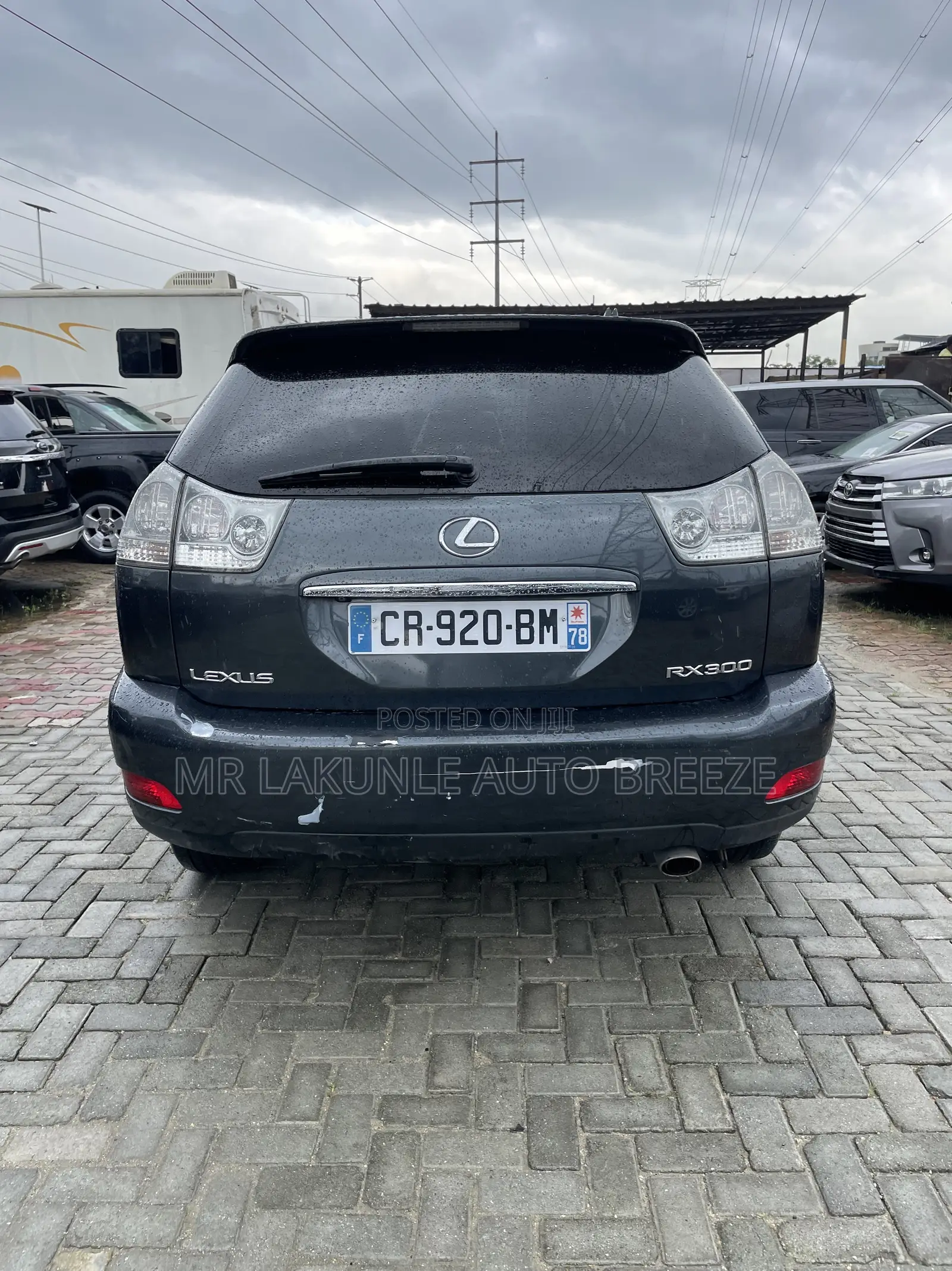 Lexus RX 2007 Green