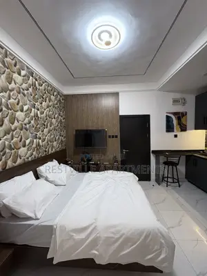 Nice Studio Apartment in Surulere