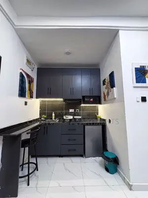 Nice Studio Apartment in Surulere