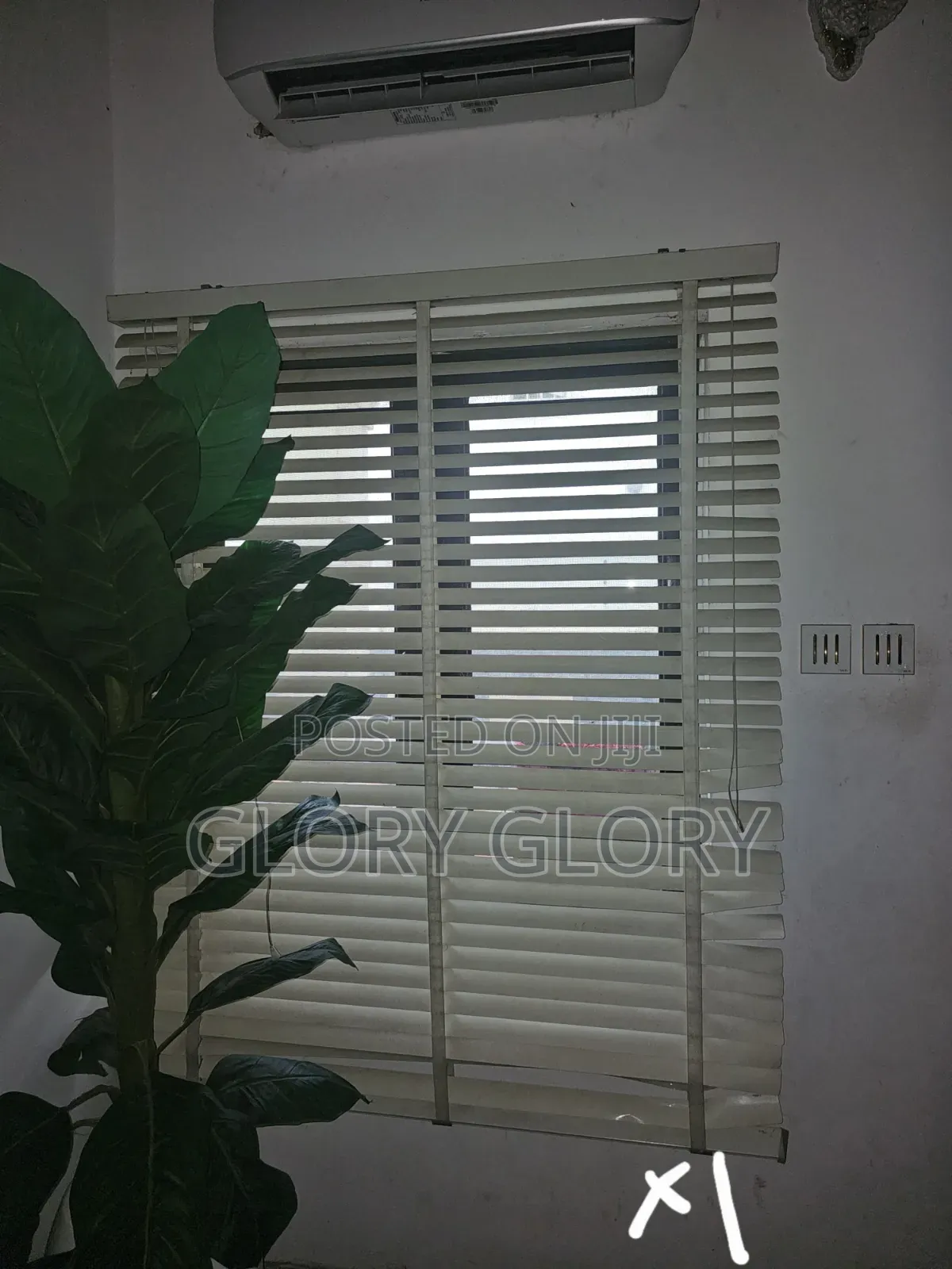 Window Blind