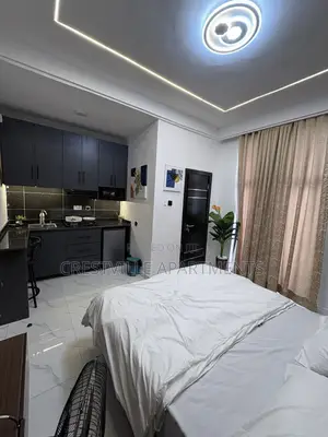 Nice Studio Apartment in Surulere