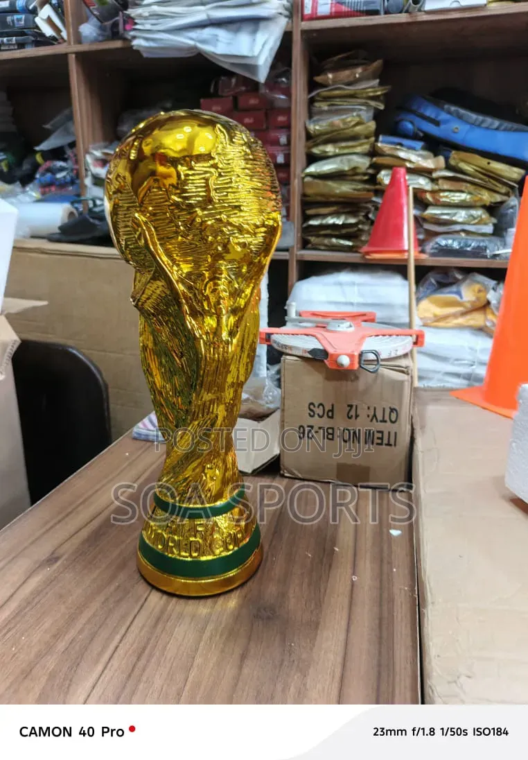 Fifa World Cup Trophy 1