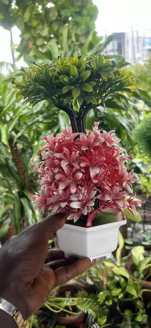 Table Flowers