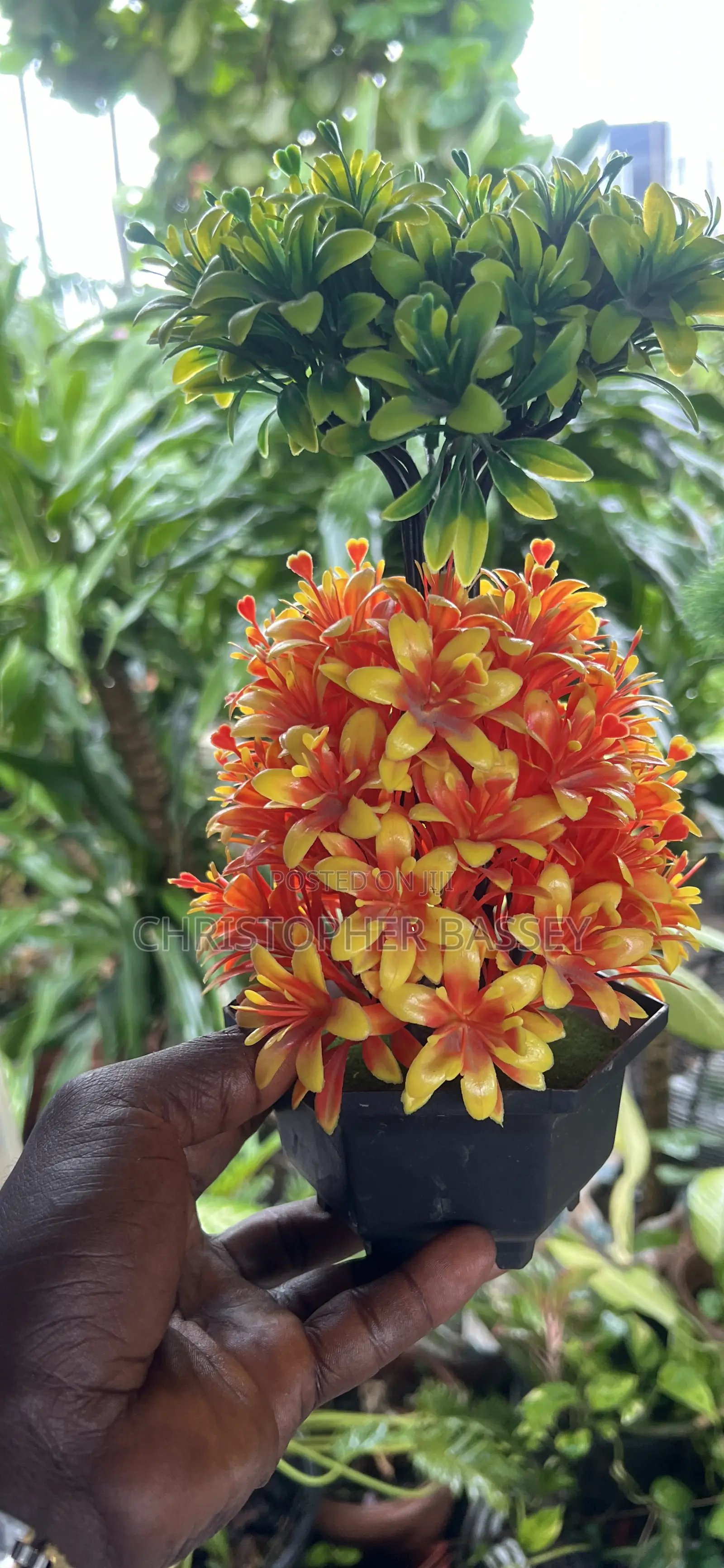 Table Flowers