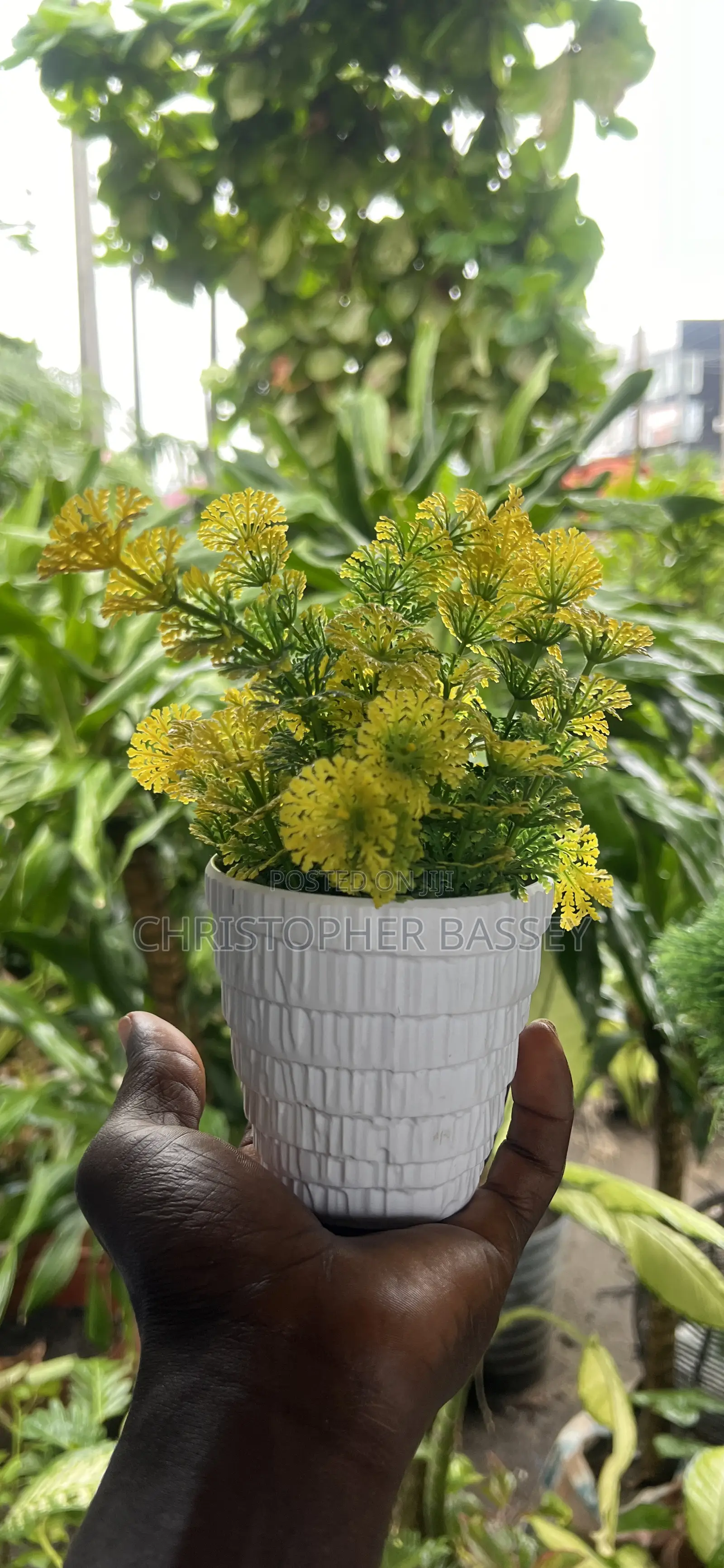 Table Flowers