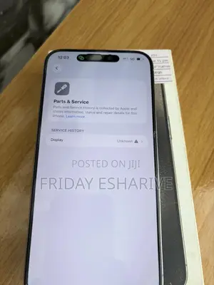 Apple iPhone 15 Pro Max 256 GB Silver