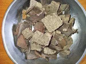 Bayberry Bark 100g