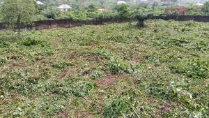 Fenced and Gated Two Plots of Land Available for Sale in Ogijo