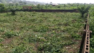 Fenced and Gated Two Plots of Land Available for Sale in Ogijo