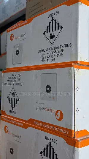 Felicitysolar 5kwh 25.6v Lithium Iron Phosphate Battery(Fla24200-A)