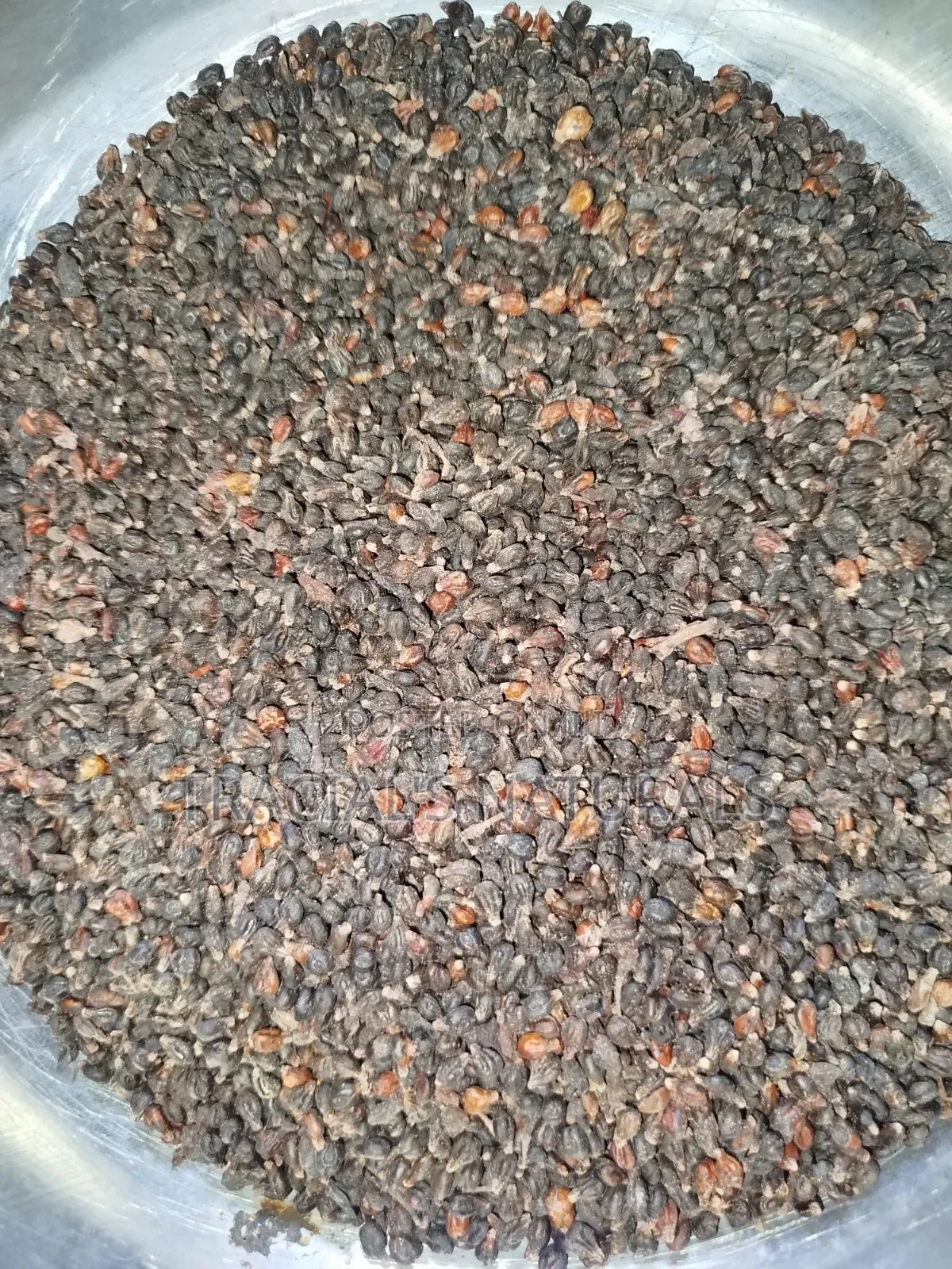 Grape Seeds 100g