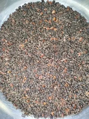 Grape Seeds 100g