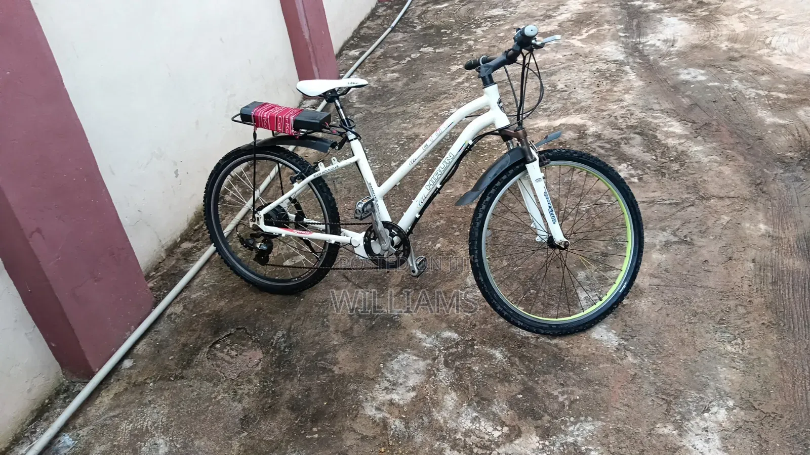 Electric Bicycle