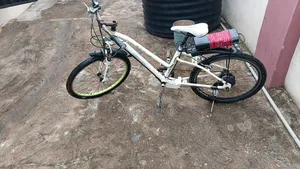 Electric Bicycle