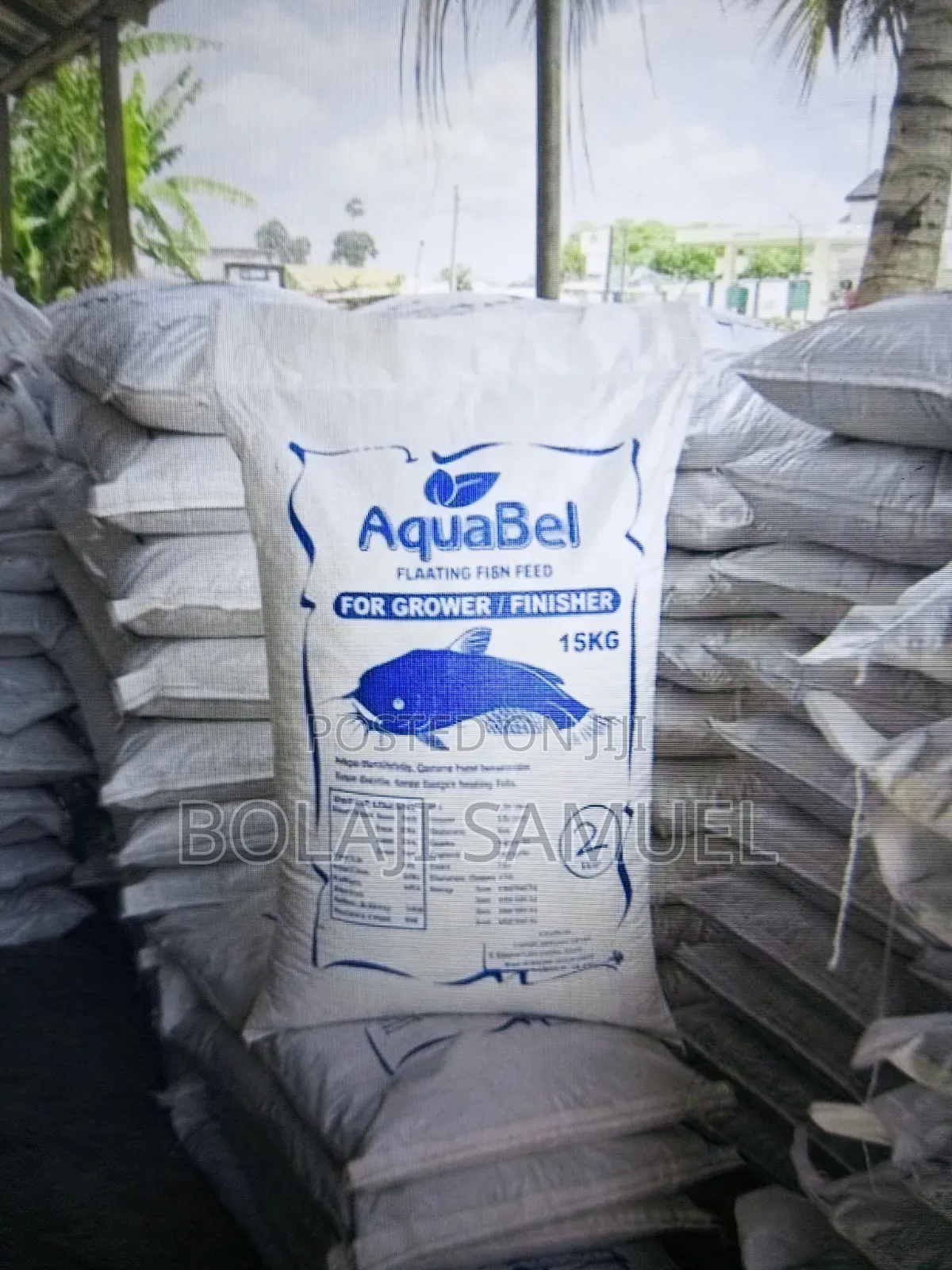 Floating Fish Feed