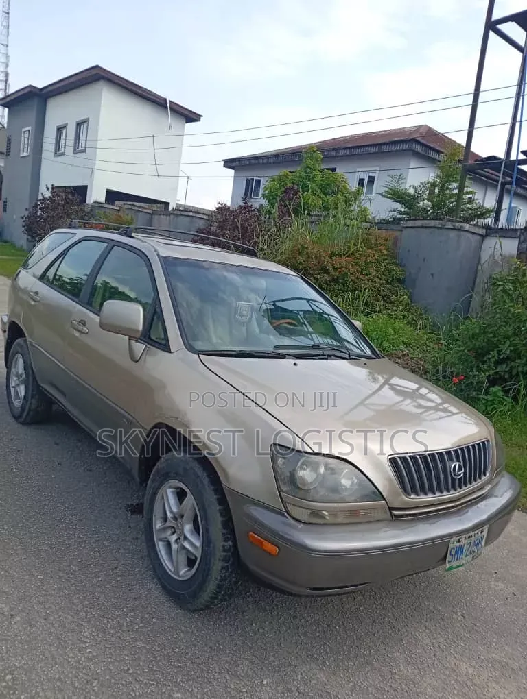 Lexus RX 2002 Gray