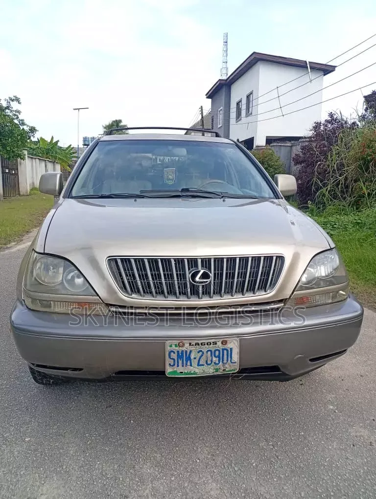 Lexus RX 2002 Gray