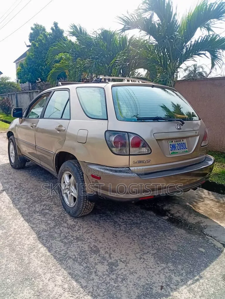 Lexus RX 2002 Gray
