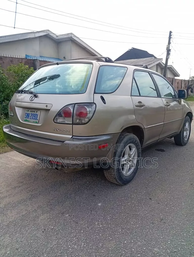 Lexus RX 2002 Gray