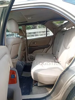 Lexus RX 2002 Gray