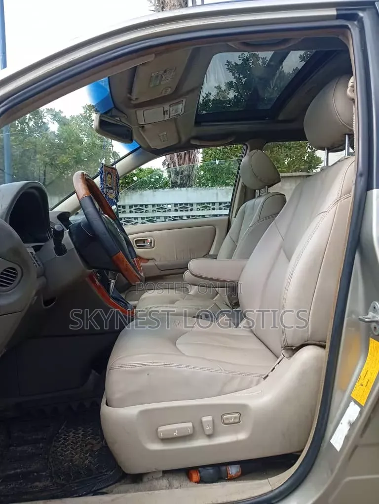 Lexus RX 2002 Gray