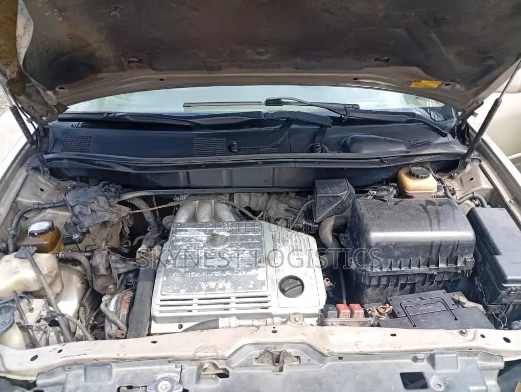 Lexus RX 2002 Gray