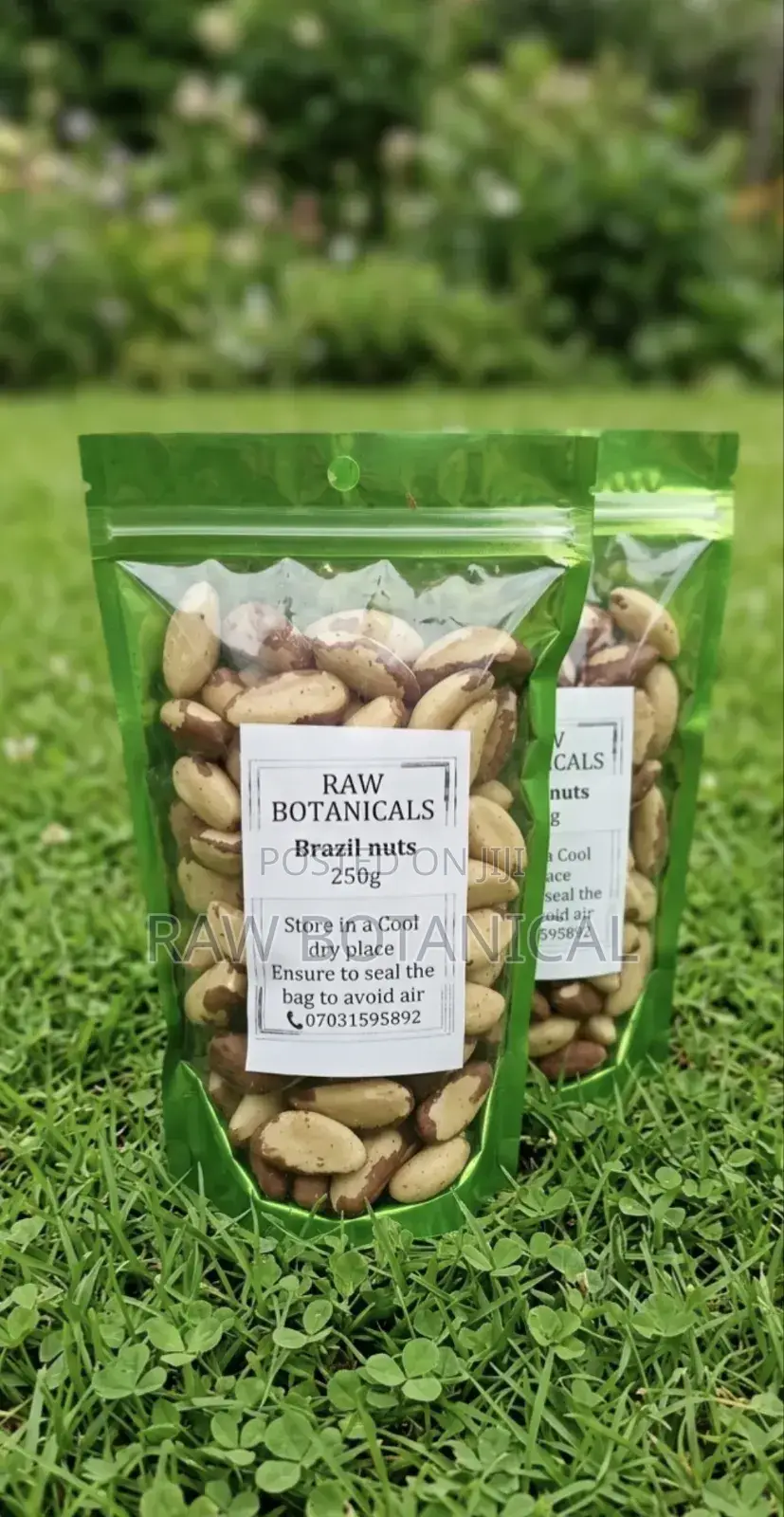 Brazil Nuts