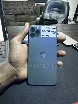 Apple iPhone 11 Pro Max 256 GB Gray