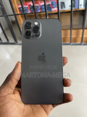 Apple iPhone 12 Pro Max 128 GB Gray