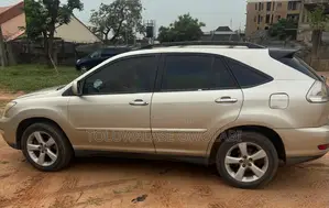 Lexus RX 350 4x4 2007 Gray