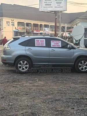 Lexus RX 2008 Blue